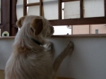 romy-06-2006
